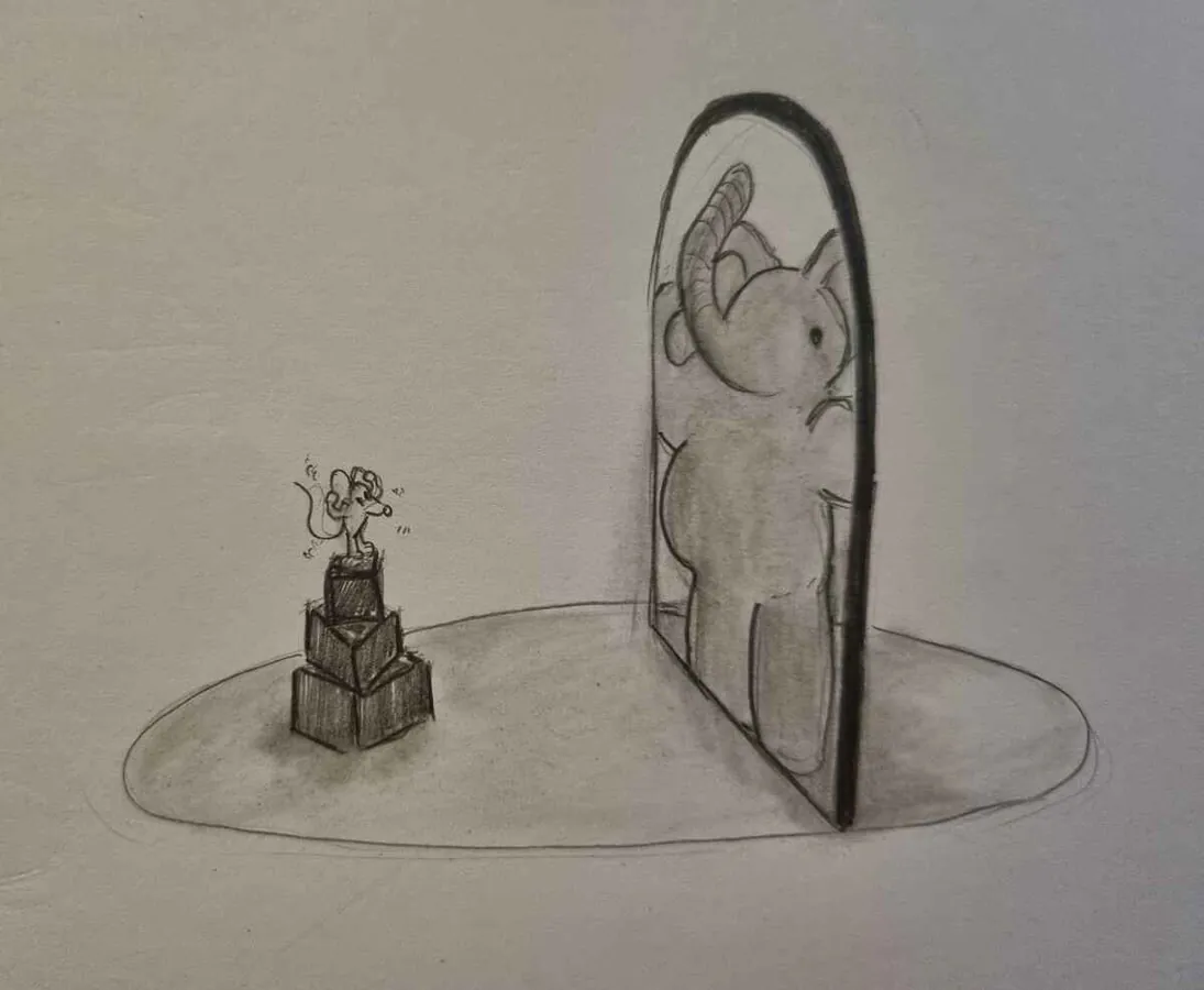 Image postée par le membre