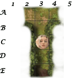 Image postée par le membre