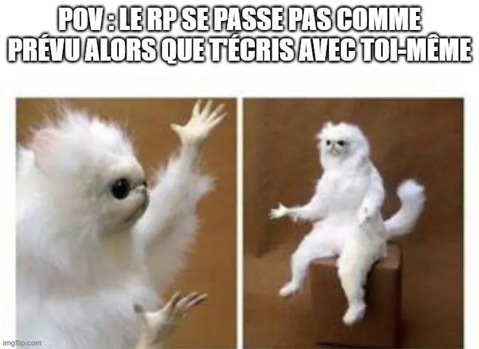 Image postée par le membre