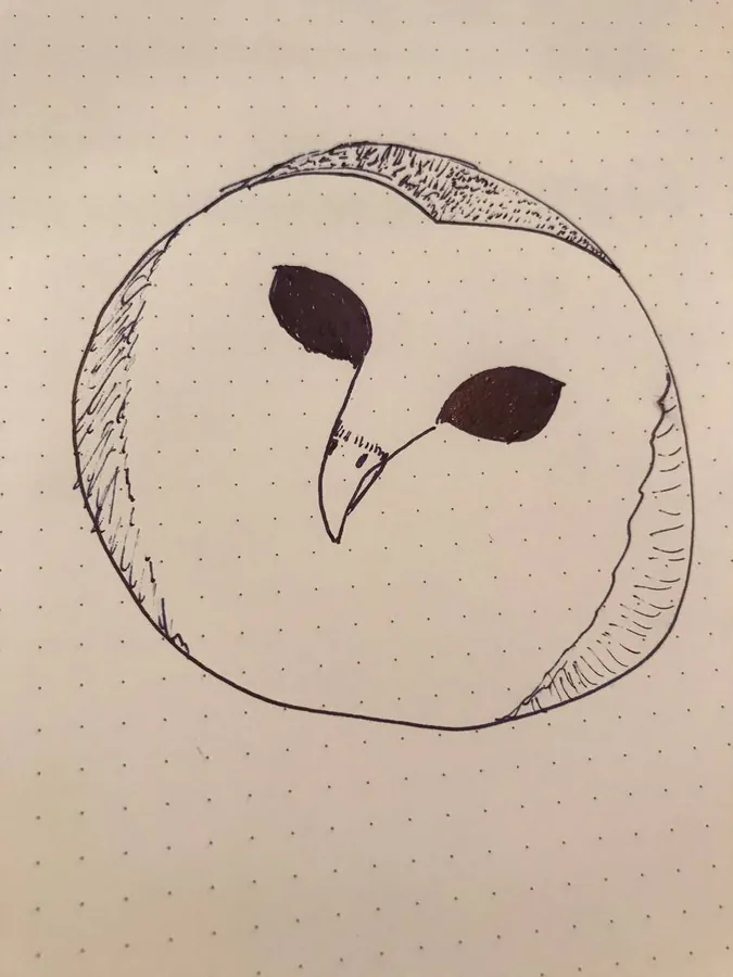 Image postée par le membre