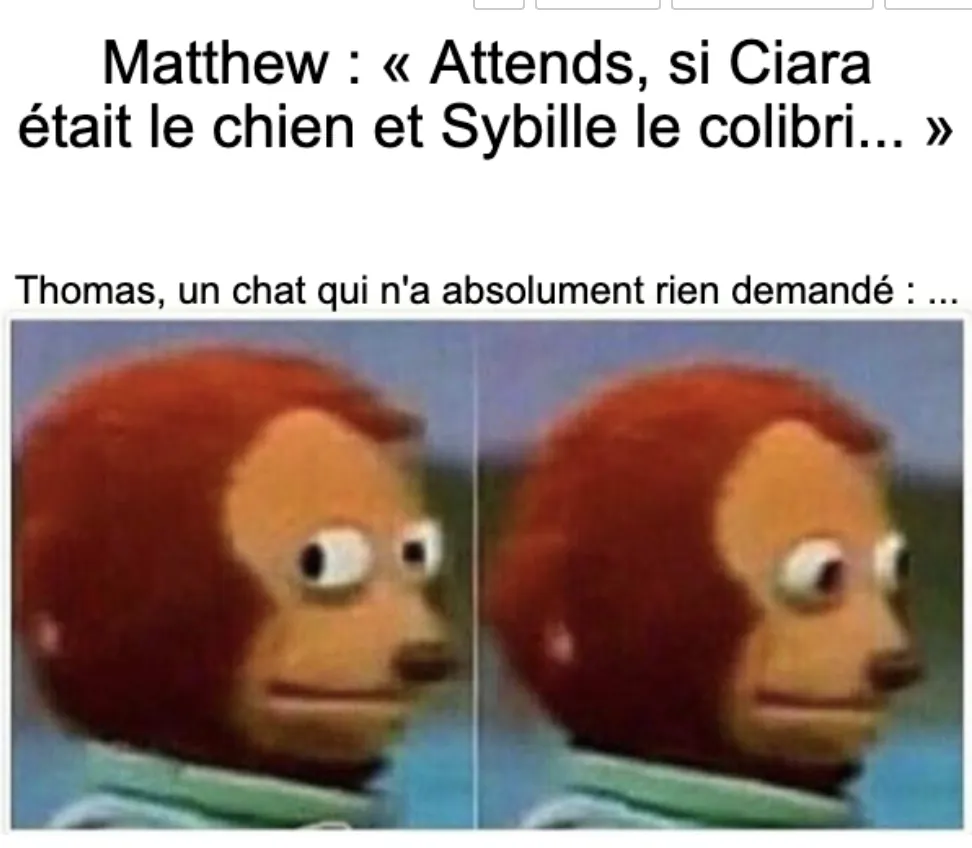 Image postée par le membre