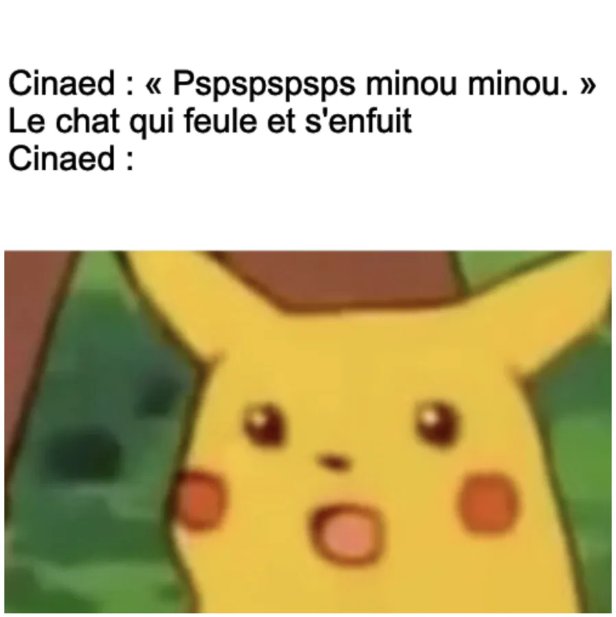 Image postée par le membre