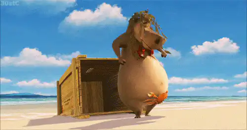 Image postée par le membre