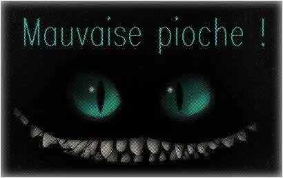 Image postée par le membre