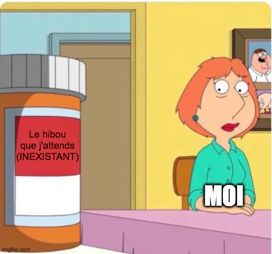Image postée par le membre