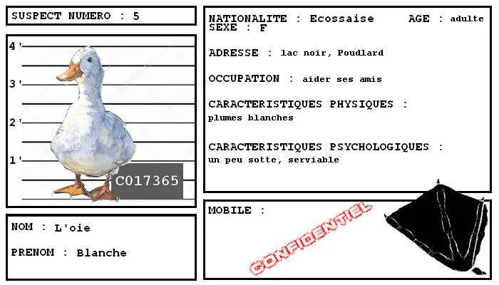 Image postée par le membre