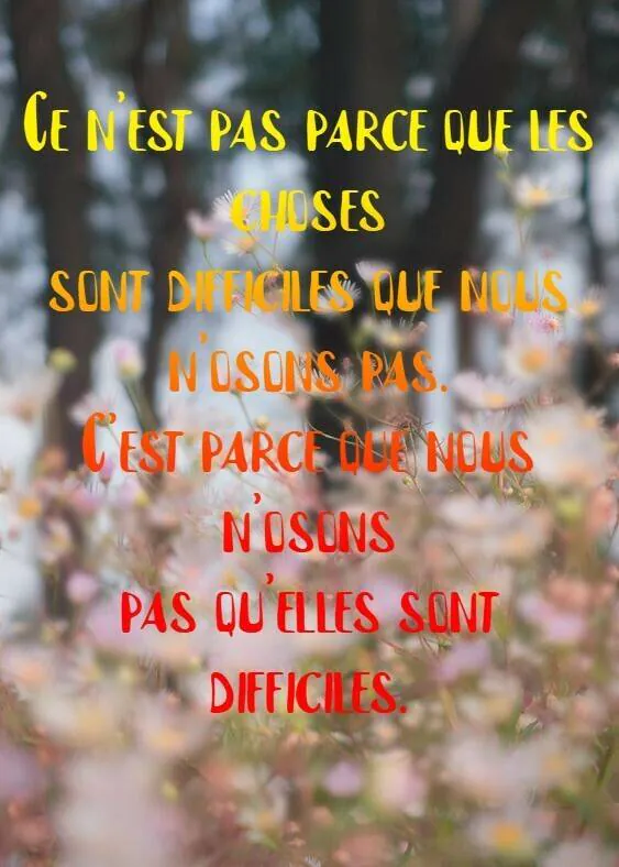 Image postée par le membre