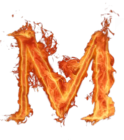 Image postée par le membre