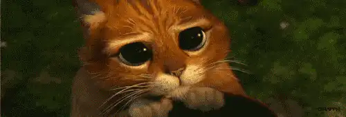 Image postée par le membre