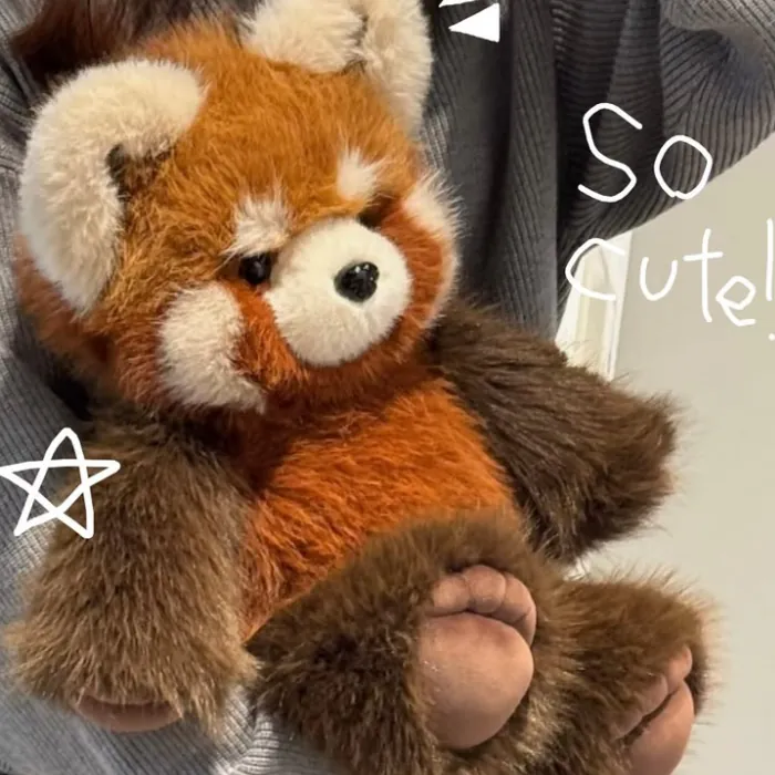 Image postée par le membre