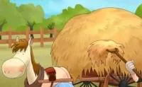 Image postée par le membre