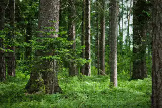 Image postée par le membre