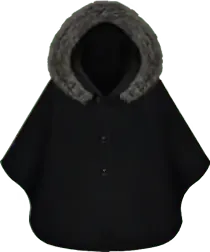 Image postée par le membre
