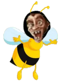 Image postée par le membre
