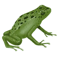 Image postée par le membre