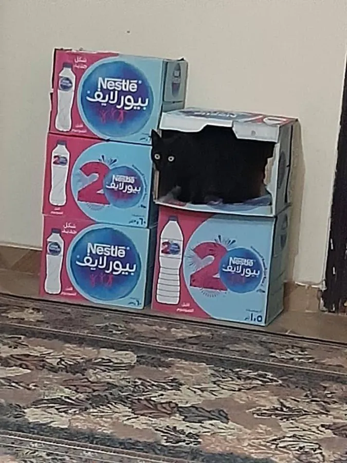Image postée par le membre