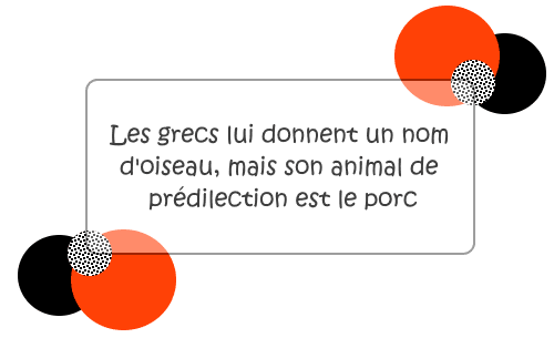 Image postée par le membre