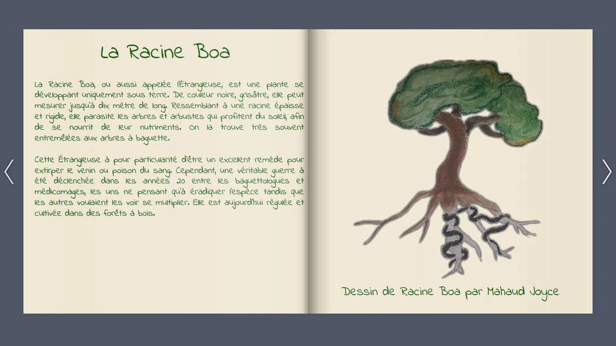Image postée par le membre