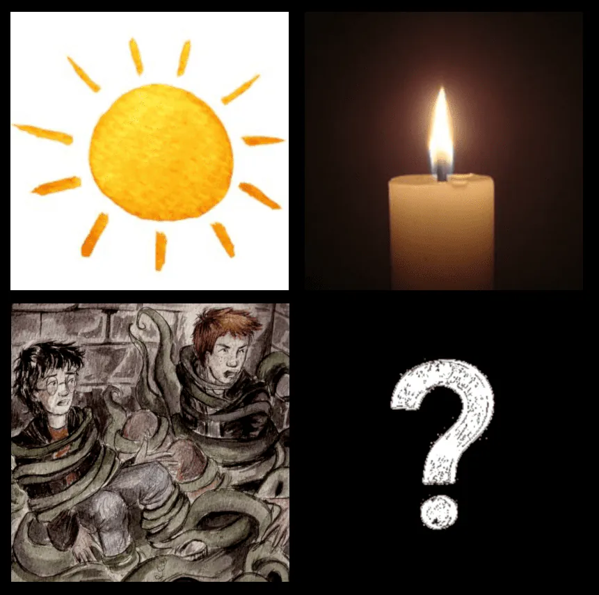 Image postée par le membre