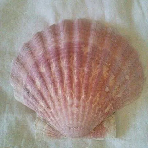Image postée par le membre