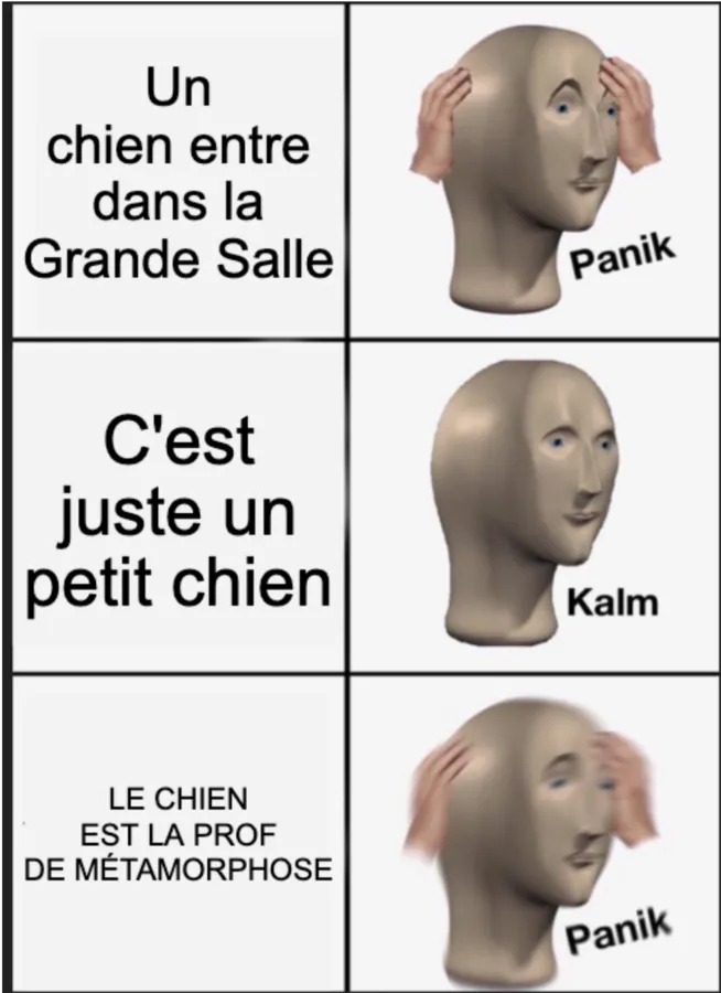 Image postée par le membre