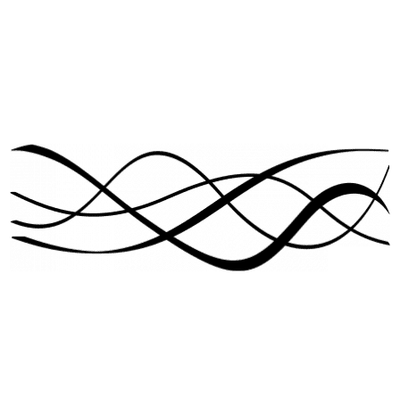 Image postée par le membre