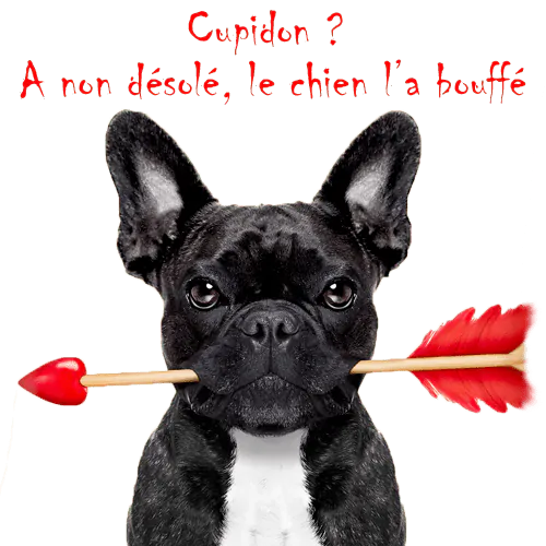 Image postée par le membre