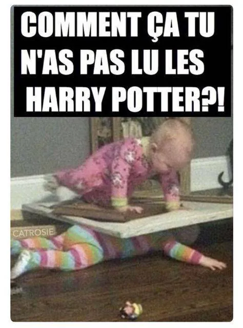 Image postée par le membre