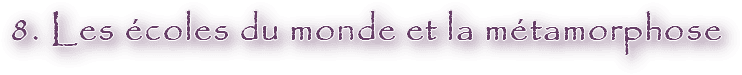 Image postée par le membre