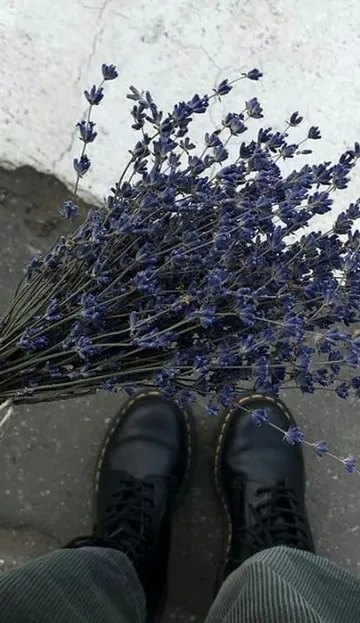Bouquet de lavande