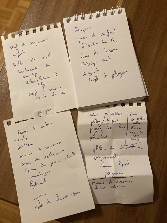 Image postée par le membre