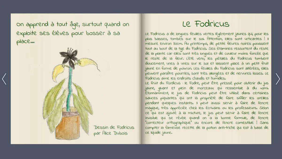 Image postée par le membre