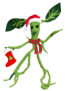 Image postée par le membre