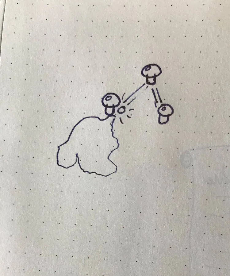Image postée par le membre