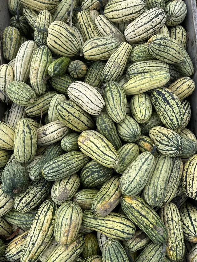 Image postée par le membre