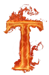 Image postée par le membre