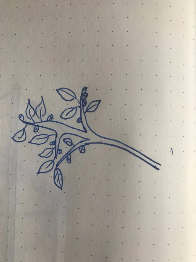Image postée par le membre