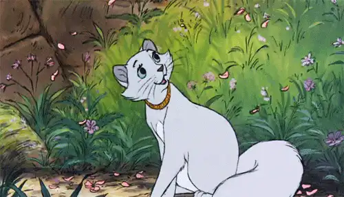 Image postée par le membre
