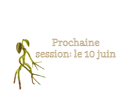 Image postée par le membre