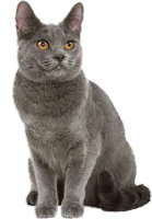 Image postée par le membre