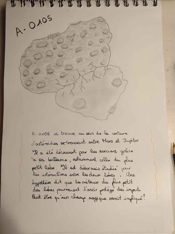 Image postée par le membre