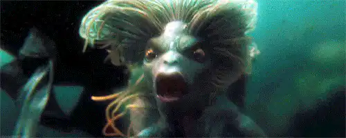 Image postée par le membre