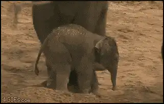 Image postée par le membre