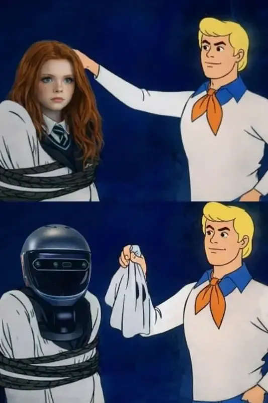 Image postée par le membre