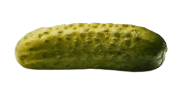 Image postée par le membre