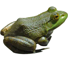 Image postée par le membre