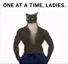 Image postée par le membre