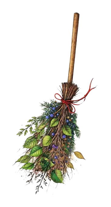 balai de sorcier et des plantes