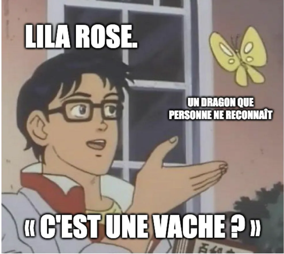 Image postée par le membre